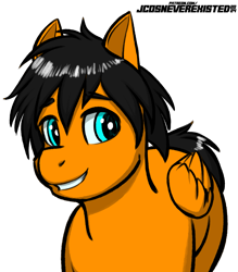 Size: 3583x4093 | Tagged: safe, artist:jcosneverexisted, imported from derpibooru, oc, pegasus, pony, male, solo