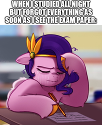 Size: 500x613 | Tagged: safe, artist:maren, edit, editor:fieryfly, imported from derpibooru, pipp petals, pegasus, pony, caption, crying, female, frustrated, g5, mare, meme, solo, stressed, text, writing