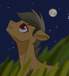 Size: 2002x2203 | Tagged: safe, artist:victoria_nik, imported from derpibooru, oc, oc only, earth pony, pony, bags under eyes, base used, grass, looking at something, looking up, male, moon, night, outdoors, red eyes, sky, solo, stallion, sternocleidomastoid, teeth