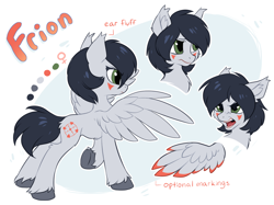 Size: 1402x1047 | Tagged: dead source, safe, artist:hioshiru, imported from derpibooru, oc, oc only, oc:frion, pegasus, pony, colored wings, colored wingtips, ear fluff, facial markings, female, mare, open mouth, pegasus oc, reference sheet, slender, solo, spread wings, tail, thin, underhoof, unshorn fetlocks, wings