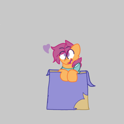 Size: 720x720 | Tagged: safe, artist:not-important, imported from derpibooru, scootaloo, pegasus, pony, box, female, pony in a box, simple background, solo, solo female, solo focus