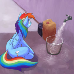 Size: 800x800 | Tagged: safe, artist:rocket-lawnchair, imported from derpibooru, imported from twibooru, rainbow dash, pegasus, pony, big thighs, faucet, female, folded wings, image, jug, large butt, looking at something, mare, meme, needs more jpeg, outdoors, ponified meme, rainbow dumb, silly, silly pony, sitting, solo, spigot, waiting, waste basket, water, wet floor, wings, wire basket