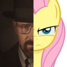 Size: 236x236 | Tagged: safe, imported from derpibooru, fluttershy, human, pegasus, pony, cute, meme, photo, simple background, solo, walter white, white background