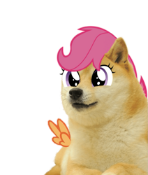 Size: 733x863 | Tagged: safe, artist:feraline(r), edit, imported from derpibooru, scootaloo, dog, pegasus, shiba inu, doge, simple background, spread wings, transparent background, wings