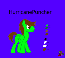 Size: 8582x7600 | Tagged: safe, artist:alphawolf2003, imported from derpibooru, oc, oc only, oc:hurricanepuncher, pegasus, for a friend, male, my little pony, reference sheet, stallion