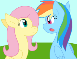 Size: 982x760 | Tagged: safe, artist:cmara, imported from derpibooru, rainbow dash, pegasus, pony, duo, duo female, female