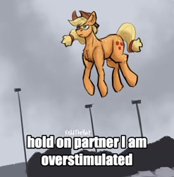 Size: 1735x1754 | Tagged: safe, artist:reddthebat, imported from derpibooru, applejack, earth pony, pony, body freckles, female, freckles, frown, levitation, lidded eyes, magic, mare, meme, ponified meme, solo, telekinesis, text