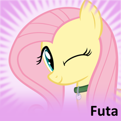 Size: 1024x1024 | Tagged: safe, imported from derpibooru, fluttershy, oc, oc:futashy, derpibooru, collar, cute, futa, futa fluttershy, intersex, meta, official spoiler image, one eye closed, pet tag, shyabetes, solo, spoilered image joke, wink