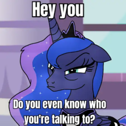 Size: 720x720 | Tagged: safe, artist:yourboimario, imported from derpibooru, princess luna, alicorn, pony, female, mare, meme, solo, talking to viewer