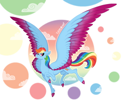 Size: 1000x800 | Tagged: safe, artist:xeon777art, imported from derpibooru, rainbow dash, pegasus, pony, abstract background, cloud, colored hooves, colored wings, colored wingtips, concave belly, female, flying, grin, hooves, large wings, mare, signature, slender, smiling, solo, thin, two toned wings, wings