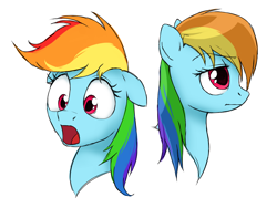 Size: 1600x1200 | Tagged: safe, artist:solixy406, imported from derpibooru, rainbow dash, pegasus, pony, bust, desaturated, eyebrows, eyebrows visible through hair, facial expressions, female, floppy ears, head only, lidded eyes, limp mane, mare, open mouth, portrait, sad, simple background, surprised, white background, wide eyes