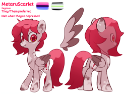 Size: 4096x3072 | Tagged: safe, artist:metaruscarlet, imported from derpibooru, oc, oc only, oc:metaru scarlet, pegasus, pony, agender pride flag, english, folded wings, omnisexual pride flag, pegasus oc, pride, pride flag, reference sheet, simple background, spotted, text, transparent background, wings