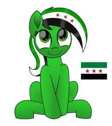 Size: 684x772 | Tagged: safe, anonymous artist, artist:pananovich, imported from derpibooru, oc, oc only, oc:syriana, earth pony, pony, /mlpol/, alternative design, base used, current events, downvote bait, nation ponies, ponified, smiling, solo, syria