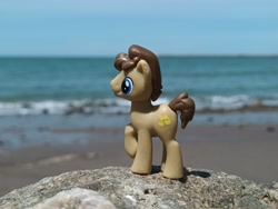 Size: 4000x3000 | Tagged: safe, artist:dingopatagonico, imported from derpibooru, concerto, earth pony, photo, solo, toy