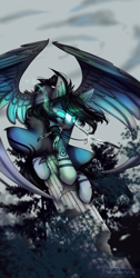 Size: 2265x4494 | Tagged: safe, artist:lunastyczna, imported from derpibooru, oc, pegasus, solo