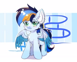 Size: 2478x2000 | Tagged: safe, artist:celedash, imported from derpibooru, oc, oc:bright banner, pegasus