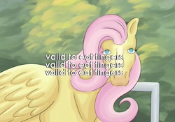 Size: 1600x1122 | Tagged: artist needed, safe, imported from derpibooru, fluttershy, horse, english, female, fingers, horses doing horse things, looking at you, mare, solo, text, valid to eat fingers