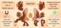 Size: 4096x1908 | Tagged: safe, artist:kleowolfy, imported from derpibooru, oc, oc only, oc:golden flare, pegasus, pony, bandage, broken bone, broken wing, brown background, cast, colored hooves, colored wings, freckles, injured, large wings, leg fluff, multicolored wings, ponified, reference sheet, short tail, simple background, sling, smiling, solo, species swap, tail, unshorn fetlocks, wings