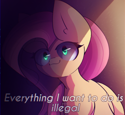 Size: 2400x2206 | Tagged: safe, artist:miryelis, imported from derpibooru, fluttershy, pegasus, pony, big ears, female, glowing, glowing eyes, looking at you, mare, meme, shadow, smiling, solo, text