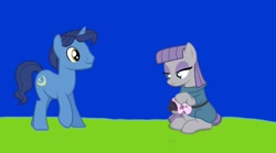 Size: 1080x599 | Tagged: safe, imported from twibooru, screencap, maud pie, night light, earth pony, pony, unicorn, series:maud knows best, series:mlp animation's short films, cleaning, duo, image, needs more jpeg, rock