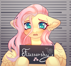 Size: 2880x2680 | Tagged: safe, artist:konejo, artist:monphys, edit, imported from ponybooru, fluttershy, pegasus, pony, barbie mugshot meme, cropped, duo, mugshot