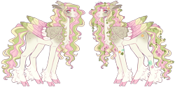 Size: 5066x2525 | Tagged: safe, artist:sleepy-nova, imported from derpibooru, oc, oc only, oc:water lily, pegasus, pony, colored wings, female, magical lesbian spawn, mare, multicolored wings, offspring, parent:fluttershy, parent:marble pie, parents:marbleshy, simple background, solo, transparent background, wings