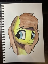 Size: 1536x2048 | Tagged: safe, artist:pegasusyay, imported from derpibooru, oc, earth pony, pony, solo, traditional art, watercolor painting