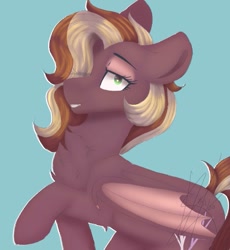 Size: 609x662 | Tagged: safe, artist:tragerchelle, imported from ponybooru, oc, oc only, pony, female, mare