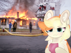 Size: 4023x3017 | Tagged: safe, artist:sodapop sprays, imported from derpibooru, oc, oc:sodapop sprays, pegasus, pony, chest fluff, ear fluff, everything is ruined, fire, freckles, meme, mug, ponified meme, shoulder fluff, smug, smug smile, solo