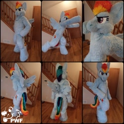 Size: 804x804 | Tagged: safe, artist:phoenixwolf, imported from derpibooru, rainbow dash, pegasus, fursuit, indoors, irl, multiple views, photo, ponysuit, pose, spread wings, wings