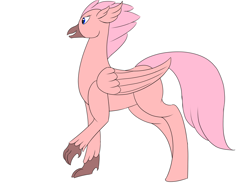 Size: 1600x1200 | Tagged: safe, artist:saint boniface, imported from derpibooru, oc, hippogriff, blue eyes, hippogriff oc, navy eyes, pink, pink feathers, solo