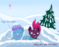 Size: 3612x2894 | Tagged: safe, artist:fizzban08, imported from derpibooru, tempest shadow, trixie, snow