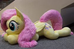 Size: 5074x3383 | Tagged: safe, artist:azgchip, imported from derpibooru, fluttershy, pegasus, pony, cute, female, life size, lying down, mare, photo, plushie, prone, shyabetes, solo, sploot