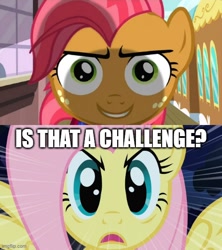 Size: 500x562 | Tagged: safe, edit, edited screencap, imported from derpibooru, screencap, babs seed, fluttershy, pegasus, pony, caption, episode needed, imgflip, stare, text, the stare