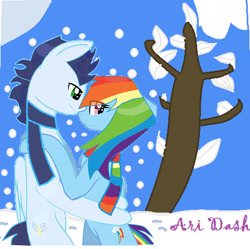 Size: 459x458 | Tagged: safe, artist:trendari, imported from derpibooru, rainbow dash, soarin', pegasus, pony, clothes, female, male, mare, scarf, shipping, soarindash, stallion, straight, winter