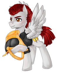 Size: 1800x2200 | Tagged: safe, artist:couratiel, imported from derpibooru, oc, oc only, pegasus, pony, clothes, helmet, male, shirt, simple background, solo, stallion, transparent background