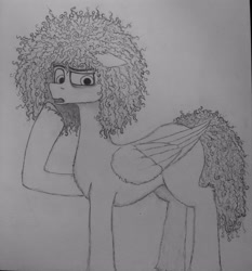 Size: 3004x3218 | Tagged: safe, artist:curly horse, imported from derpibooru, oc, pegasus, confused, curly hair, curly mane, eyebrows, floppy ears, fluffy, folded wings, grayscale, high res, male, monochrome, pegasus oc, pencil drawing, raised eyebrow, raised hoof, simple background, solo, stallion, traditional art, white background, wings