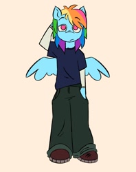 Size: 1058x1333 | Tagged: safe, artist:partyponypower, imported from derpibooru, rainbow dash, anthro, plantigrade anthro, pony, clothes, pants, shirt, simple background, solo, t-shirt