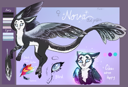 Size: 4865x3321 | Tagged: safe, artist:wallvie, imported from derpibooru, oc, oc:nova iris, griffon, concave belly, countershading, female, reference sheet, slender, solo, thin