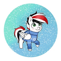 Size: 1000x1000 | Tagged: artist needed, source needed, safe, imported from derpibooru, oc, oc only, oc:damiyan, pegasus, chibi, christmas, clothes, green eyes, holiday, merry christmas, simple background, snow, snowfall, solo, sweater, white fur