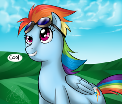 Size: 903x768 | Tagged: safe, artist:cat-cly, imported from derpibooru, rainbow dash, pegasus, goggles, goggles on head, solo