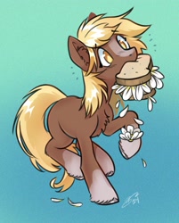 Size: 2175x2700 | Tagged: safe, artist:opalacorn, imported from derpibooru, earth pony, pony, blaze (coat marking), chest fluff, coat markings, daffodil and daisy sandwich, facial markings, female, food, gradient background, herbivore, mare, mouth hold, ponified, sandwich, sergeant reckless, signature, socks (coat markings), solo, standing on two hooves