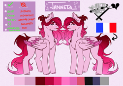 Size: 1071x746 | Tagged: safe, artist:dejji_vuu, imported from derpibooru, oc, oc only, oc:janette, pegasus, pony, chest fluff, colored wings, colored wingtips, ear fluff, ear piercing, earring, eyeshadow, female, folded wings, french flag, gradient mane, gradient tail, implied smoking, jewelry, lipstick, makeup, mare, piercing, ponytail, reference sheet, shoulder fluff, solo, standing, tail, two toned wings, wings