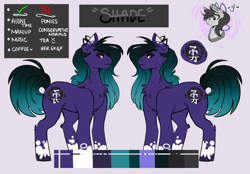 Size: 5600x3900 | Tagged: safe, artist:dejji_vuu, imported from derpibooru, oc, oc only, oc:shade, earth pony, pony, black eyeshadow, chest fluff, coat markings, color palette, colored eartips, colored hooves, ear fluff, ear piercing, earring, earth pony oc, eyeshadow, female, gradient mane, gradient tail, jewelry, kanji, leg fluff, makeup, mare, piercing, purple eyes, reference sheet, shoulder fluff, socks (coat markings), solo, standing, tail, unshorn fetlocks