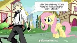 Size: 735x413 | Tagged: safe, edit, editor:arochuuya, imported from derpibooru, fluttershy, human, pegasus, pony, anime, atsushi nakajima, bungo stray dogs, crossover, female, male, mare, ponyville, wat