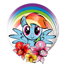 Size: 2048x2048 | Tagged: artist needed, safe, imported from derpibooru, rainbow dash, pegasus, pony, black outlines, design, digital watercolor, female, flower, looking at you, mare, official, rainbow, shirt design, simple background, smiling, smiling at you, solo, spread wings, transparent background, wings, zazzle