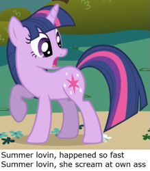 Size: 531x606 | Tagged: safe, edit, edited screencap, imported from derpibooru, screencap, twilight sparkle, pony, unicorn, friendship is magic, season 1, cropped, flower, horn, looking back, meme, open mouth, path, ponified meme, raised hoof, shocked, solo, standing, turned head, unicorn twilight, vulgar