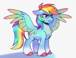 Size: 2304x1766 | Tagged: safe, artist:virygo19, imported from derpibooru, rainbow dash, pegasus, pony, chest fluff, chromatic aberration, coat markings, colored hooves, colored wings, countershading, female, mare, multicolored wings, shadow, simple background, socks (coat markings), solo, spread wings, unshorn fetlocks, white background, wings