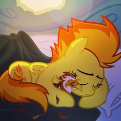 Size: 1080x1080 | Tagged: safe, imported from derpibooru, spitfire, bird, pegasus, pony, cute, female, lockheed, sleeping