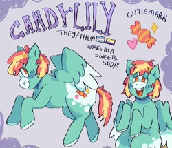 Size: 1080x930 | Tagged: safe, artist:vemrill, imported from derpibooru, oc, pegasus, pony, nonbinary, nonbinary pride flag, pegasus oc, pride, pride flag, reference sheet, solo, transgender, transgender pride flag, wings